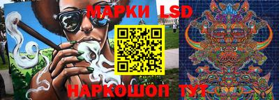 крисы Абакан