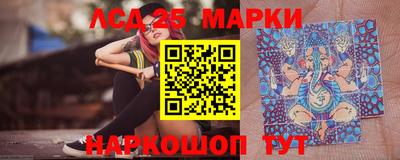 крисы Абакан