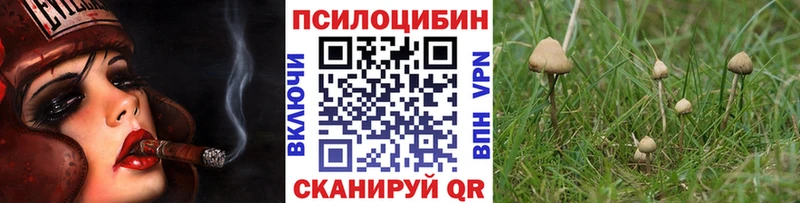 KRAKEN ссылки  Азнакаево  Псилоцибиновые грибы мицелий  даркнет сайт 