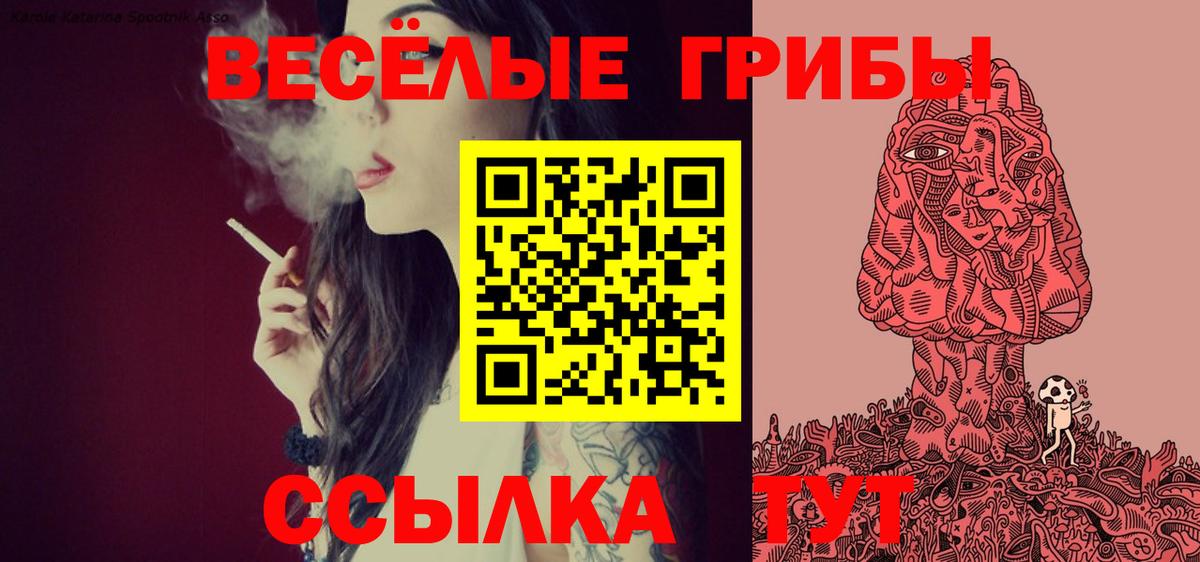 Азнакаево  Галлюциногенные грибы Magic Shrooms  Псилоцибиновые грибы Psilocybe  Вход с VPN 