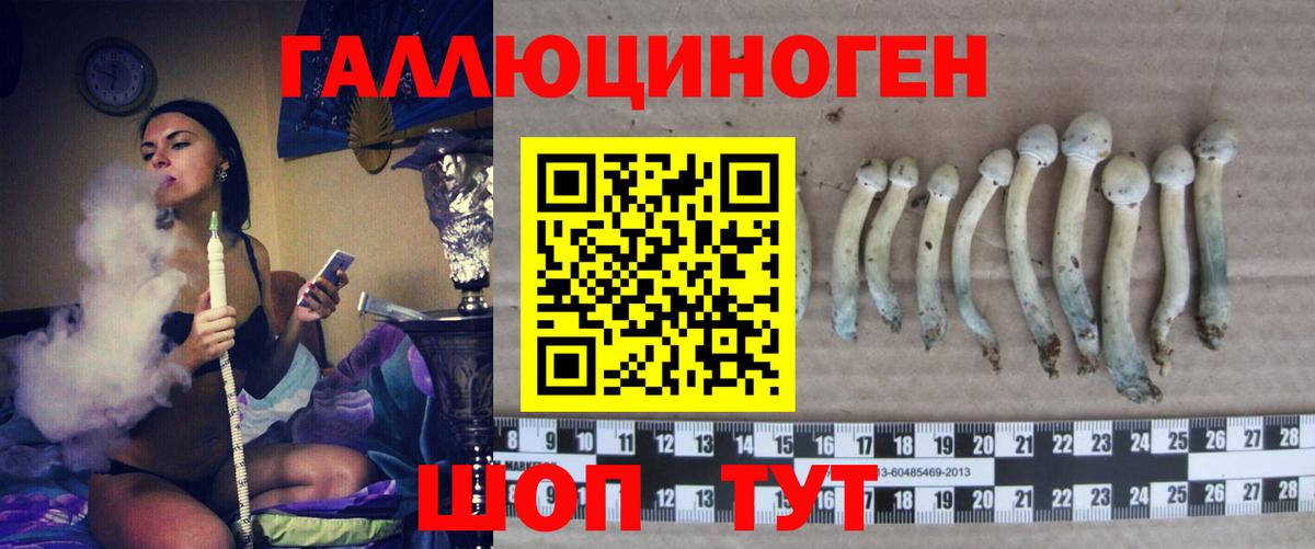Псилоцибиновые грибы мицелий Азнакаево