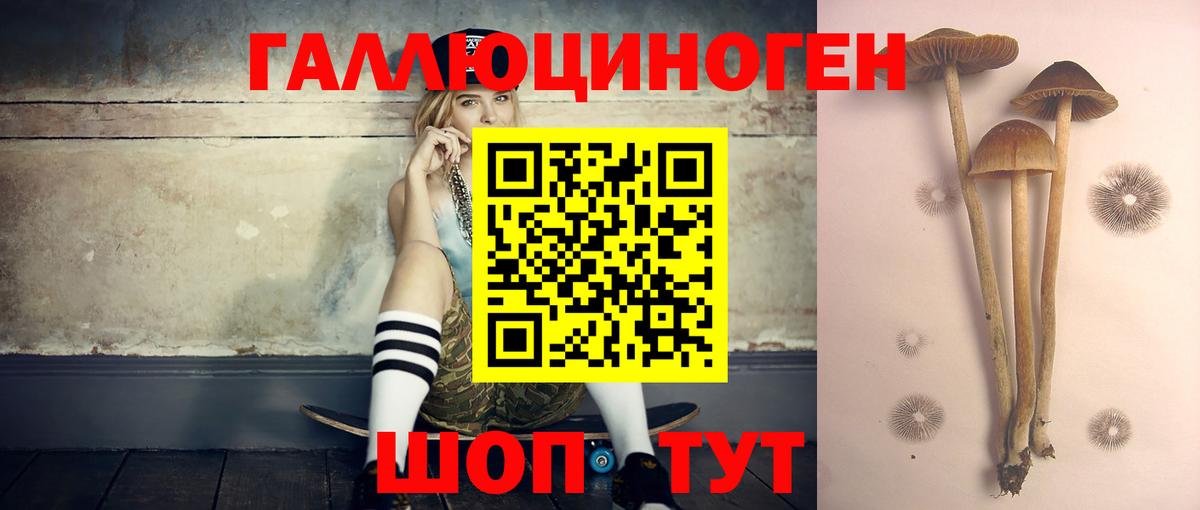 Псилоцибиновые грибы MAGIC MUSHROOMS  Псилоцибиновые грибы ЛСД  Азнакаево  Вход с VPN 